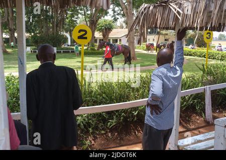 Spectateurs regardant des chevaux en train d'être conduits autour de l'anneau de parade avant une course, champ de courses de Ngong, chemin de Ngong, Nairobi, Kenya. 1 mars 2015 Banque D'Images