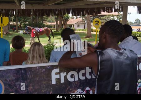 Spectateurs regardant des chevaux en train d'être conduits autour de l'anneau de parade avant une course, champ de courses de Ngong, chemin de Ngong, Nairobi, Kenya. 1 mars 2015 Banque D'Images