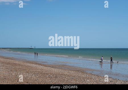 Littlempton, West Sussex, Royaume-Uni. Deux couples marchent les chiens le long de la plage ouest déserte. Affiche les éoliennes offshore à l'horizon. Banque D'Images