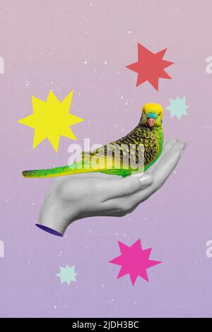 Collage créatif de la personne les palmiers tiennent le perroquet vert concept de protection de la faune sauver espèces isolé couleur fond Banque D'Images