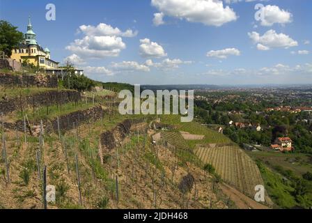 Vue sur la vallée de l'Elbe, site classé au patrimoine mondial, vue depuis les vignobles de Radebeul, Allemagne, Saxe, Radebeul Banque D'Images