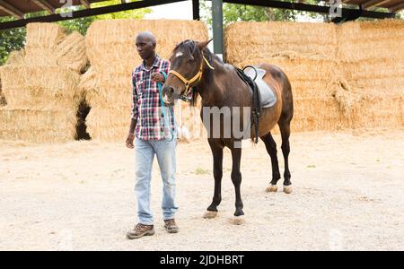 Jeune agriculteur debout avec un cheval à l'écurie à la ferme Banque D'Images