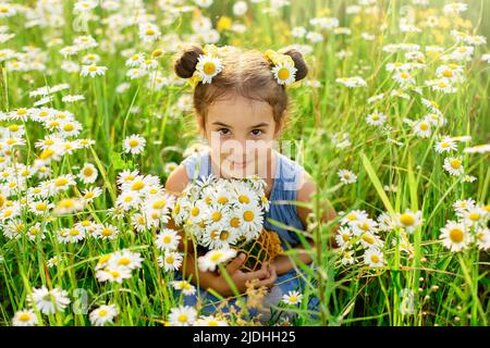 Une petite fille mignonne avec un bouquet de pâquerettes est assise dans un champ avec des pâquerettes par temps ensoleillé Banque D'Images