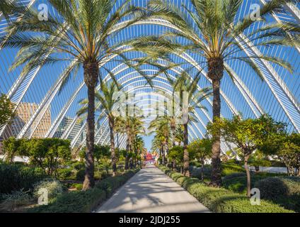 VALENCE, ESPAGNE - 15 FÉVRIER 2022 : le jardin de sculptures de l'Umbracle fait partie de la Cité des Arts conçue par Santiago Calatrava. Banque D'Images