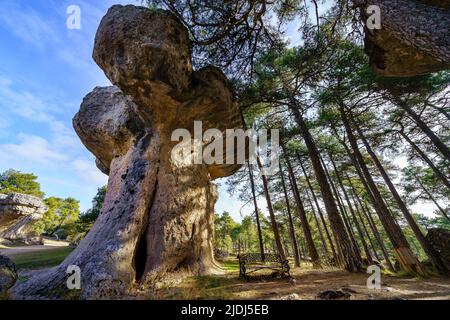 Étrange formation de roche en hauteur en forme de champignon dans la ville enchantée de Cuenca, Espagne. Banque D'Images