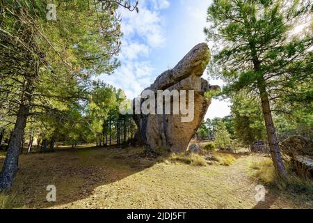 Formation rocheuse de haute élévation à côté de grands pins à Ciudad Encantada, Cuenca. Banque D'Images