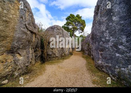 De grandes roches calcaires dans la forêt de la ville enchantée de Cuenca, Espagne. Banque D'Images