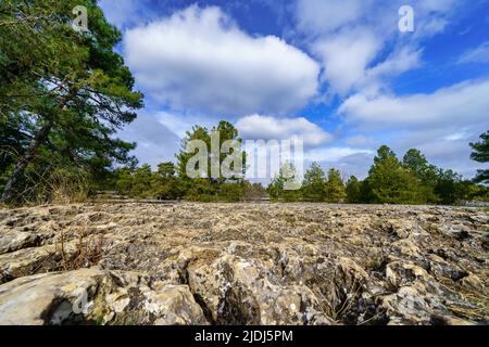 Mer de pierre dans un paysage étrange de la ville enchantée de Cuenca, Espagne. Banque D'Images