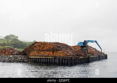 Une grande pince mécanique hydraulique Mantsinen 100 RHC bleue par piles empilées de bois de coupe, Fishnish Bay Shore, Sound of Mull, île de Mull, Écosse Banque D'Images