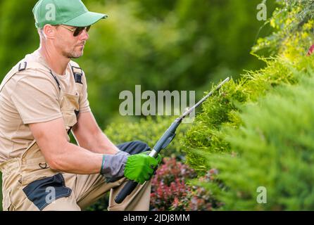 Gros plan du jardinier caucasien masculin à son 40s portant lunettes de soleil et chapeau vert appréciant le processus de Pruning des plantes en utilisant le Professional Garden Scisso Banque D'Images