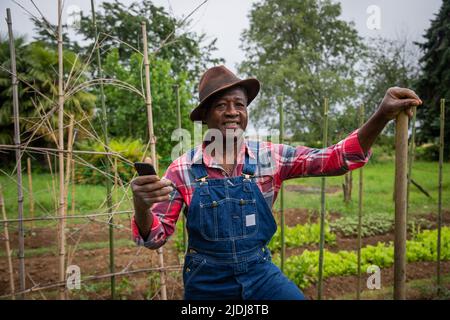 L'agriculteur africain dans les champs utilise son smartphone, la technologie au travail dans les champs Banque D'Images