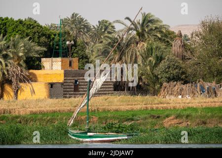 Un felucca traditionnel amarré dans les roseaux sur les rives du Nil avec la végétation et les scènes domestiques derrière y compris la petite mosquée Banque D'Images