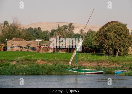 Un felucca traditionnel amarré dans les roseaux sur les rives du Nil avec la végétation et les scènes domestiques derrière Banque D'Images