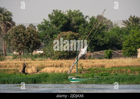 Un felucca traditionnel amarré dans les roseaux sur les rives du Nil avec la végétation et les scènes domestiques derrière Banque D'Images