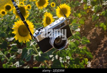 Gros plan d'un appareil photo reflex dans la campagne. Photographie, nature, voyage. Banque D'Images