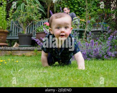 Bébé rampant sur l'herbe dans le jardin, Royaume-Uni Banque D'Images