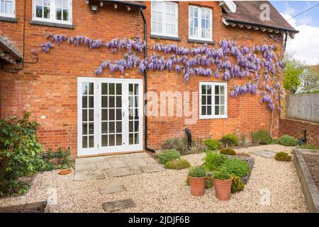 Maison victorienne avec fenêtres en bois, portes-fenêtres et glycine. Jardin paysagé avec patio en pierre de York et gravier. Angleterre, Royaume-Uni Banque D'Images