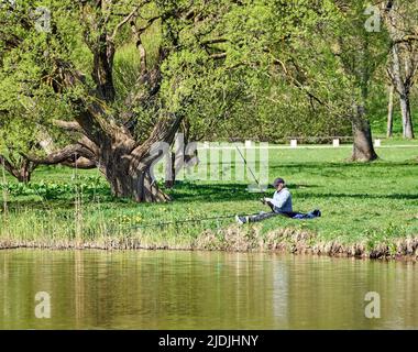 Riga, Lettonie - 8 mai 2022: Un pêcheur est assis avec une canne à pêche sur la rive d'un lac dans un parc public. Herbe verte autour. Grand arbre à gauche. Banque D'Images
