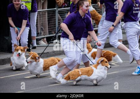 Jouet corgis de l'école Corgi Traning divertir la foule au Platinum Jubilee Pageant comme il se passe le long de Whitehall sur la quatrième et dernière da Banque D'Images