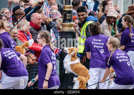 Jouet corgis de l'école Corgi Traning divertir la foule au Platinum Jubilee Pageant comme il se passe le long de Whitehall sur la quatrième et dernière da Banque D'Images