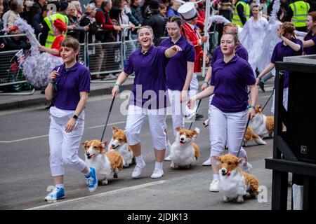 Jouet corgis de l'école Corgi Traning divertir la foule au Platinum Jubilee Pageant comme il se passe le long de Whitehall sur la quatrième et dernière da Banque D'Images