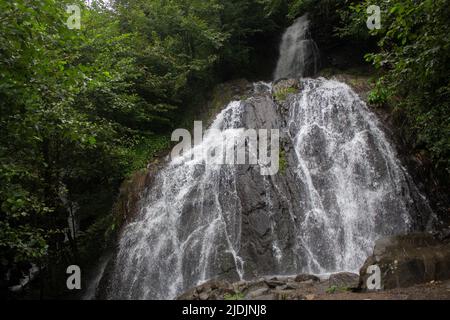 La cascade de montagne coule sur les rochers. Vue sur la cascade de montagne d'une chute d'eau claire. Banque D'Images