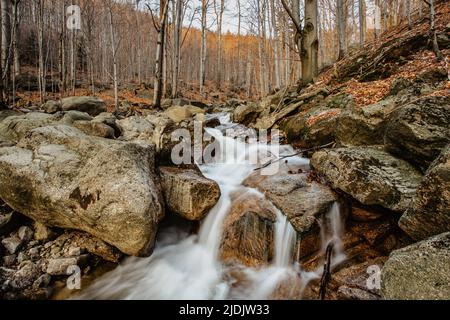 Réserve naturelle tchèque appelée Jizerskohorske buminy, Jizera Mountain Beechwood, sur la liste de l'UNESCO.nature unique avec des hêtres, des chutes d'eau, des ruisseaux sauvages Banque D'Images