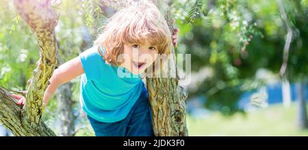 Joyeux garçon énergique enfant grimper arbre été à l'extérieur, l'escalade des arbres. Affiche horizontale. En-tête de bannière Web, espace de copie. Banque D'Images