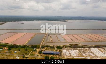 Extraction du sel au Sri Lanka par évaporation dans les étangs de sel. Banque D'Images