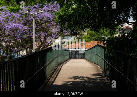 Vue sur la passerelle vide Palmeiras Arrancada Heroica 1942 entourée d'une végétation verte et couverte d'arbres ombragés par une journée ensoleillée. Banque D'Images