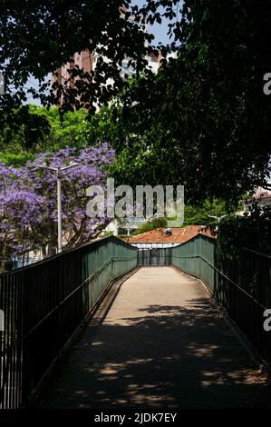 Vue sur la passerelle vide Palmeiras Arrancada Heroica 1942 entourée d'une végétation verte et couverte d'arbres ombragés par une journée ensoleillée. Banque D'Images