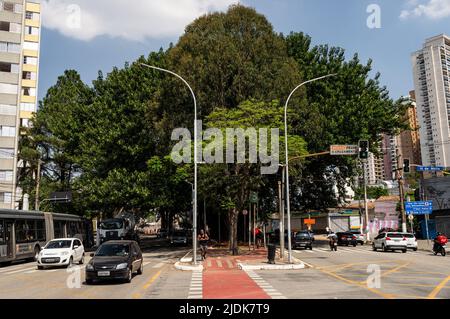 Une piste cyclable qui s'exécute sur la bande médiane de l'avenue Sumaare et qui passe sous de grands arbres entre la circulation normale des jours ouvrables et le ciel bleu nuageux ensoleillé Banque D'Images