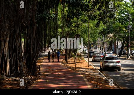 Section de piste cyclable située sur la bande médiane de l'avenue Sumaare entourée d'une végétation dense et de l'ombre des arbres pendant les jours d'affaires. Banque D'Images