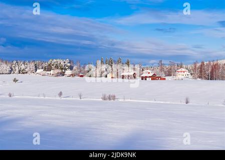 Paysage nordique d'hiver. Vue panoramique sur les arbres couverts de gel dans les dérives. Banque D'Images