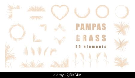 Collection d'herbe de Pampas. Ensemble de bouquets de mariage, cadre et bordures. Vector cortaderia en style boho isolé sur blanc. Éléments de design tendance pour Illustration de Vecteur