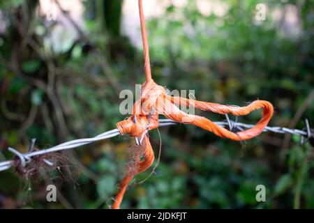 fil de plastique orange attaché au fil barbelé isolé sur un fond vert naturel Banque D'Images