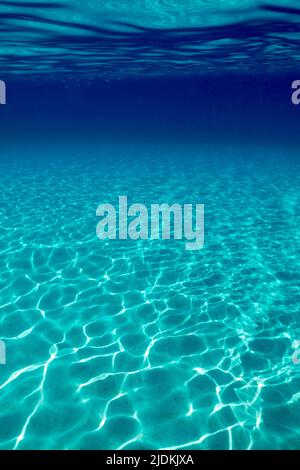 La vie sur le récif de Mayotte lagon océan Indien Banque D'Images