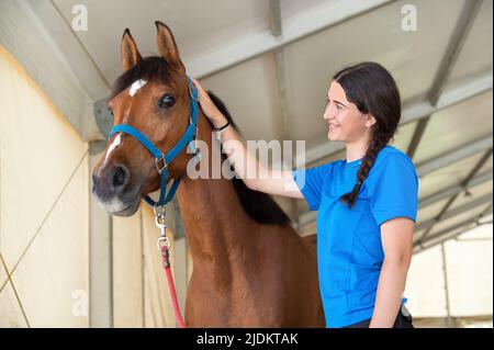 Une jeune femme attentionnée se portant le cou de son cheval de compagnie à l'intérieur d'une écurie avec un sourire affectueux Banque D'Images