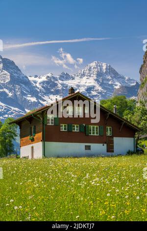 Chalet suisse typique avec les Alpes bernoises derrière, Lauterbrunnen, canton de Berne, Suisse Banque D'Images