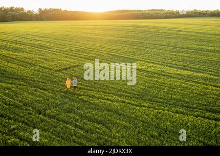 Vue aérienne sur le champ de blé vert avec couple marchant sur le chemin Banque D'Images