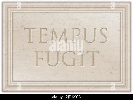 Plaque de marbre avec le proverbe latin ancien 'TEMPUS FUGIT', illustration Banque D'Images