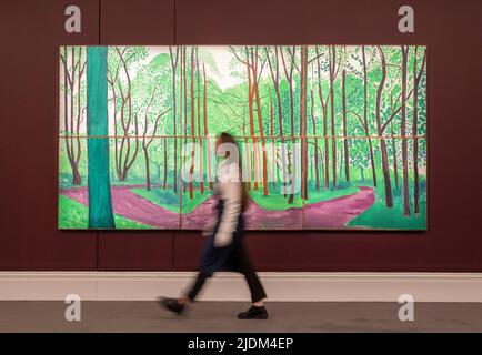 Sotheby’s, Londres, Royaume-Uni. 22 juin 2022. Aperçu de l'art britannique : l'enchère de soirée Jubilé aura lieu le 29 juin. Image : David Hockney, Woldgate Woods II, 16 et 17 mai 2006, 6 pièces, environ 10 000 000 à 15 000 000 £. Crédit : Malcolm Park/Alay Live News. Banque D'Images