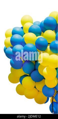 Ballons jaunes et bleus. Gros bouquet de boules. Ballon d'hélium isolé sur fond blanc. Banque D'Images