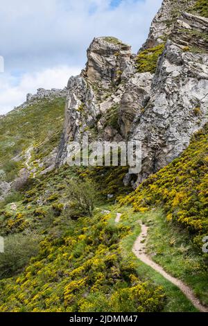 Espagne, Asturies. Gorges le long du sentier des randonneurs, parc naturel de Sexiedo, réserve de biosphère, montagnes Cantabriennes. Banque D'Images