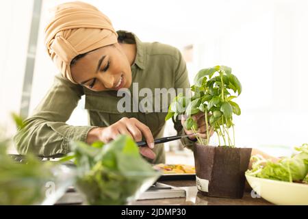 Jeune femme biracial dans hijab coupant des feuilles de basilic frais tout en préparant la nourriture dans la cuisine à la maison Banque D'Images