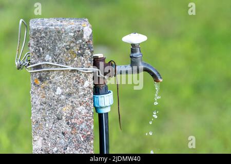 Un vieux robinet d'eau rouillée dans le jardin d'où l'eau continue de couler. Banque D'Images