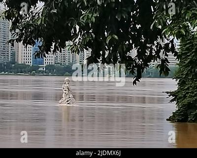 QINGYUAN, CHINE - 22 JUIN 2022 - le parc de Beijiang est partiellement inondé par des inondations dans la ville de Qingyuan, province de Guangdong, Chine, 22 juin 2022. Le Hydrolo Banque D'Images