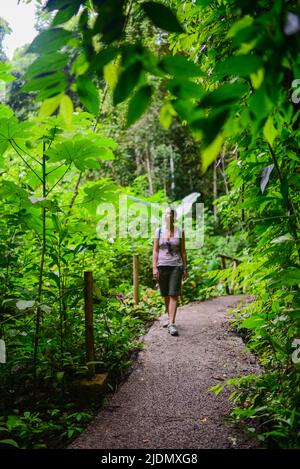 Jeune femme aventureuse caucasienne explorant le parc national Manuel Antonio au Costa Rica Banque D'Images
