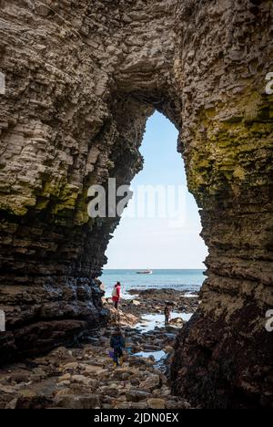 Les falaises de craie de Flamborough Head dans l'East Yorkshire, Royaume-Uni Banque D'Images