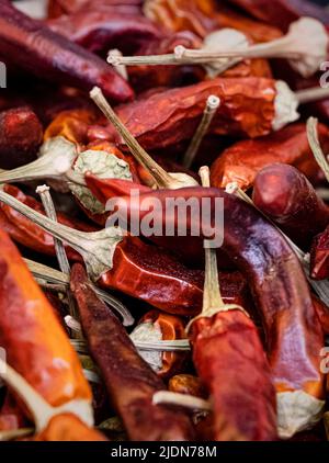 Image du festival du Chili de Waddesdon Manor en 2019. Banque D'Images